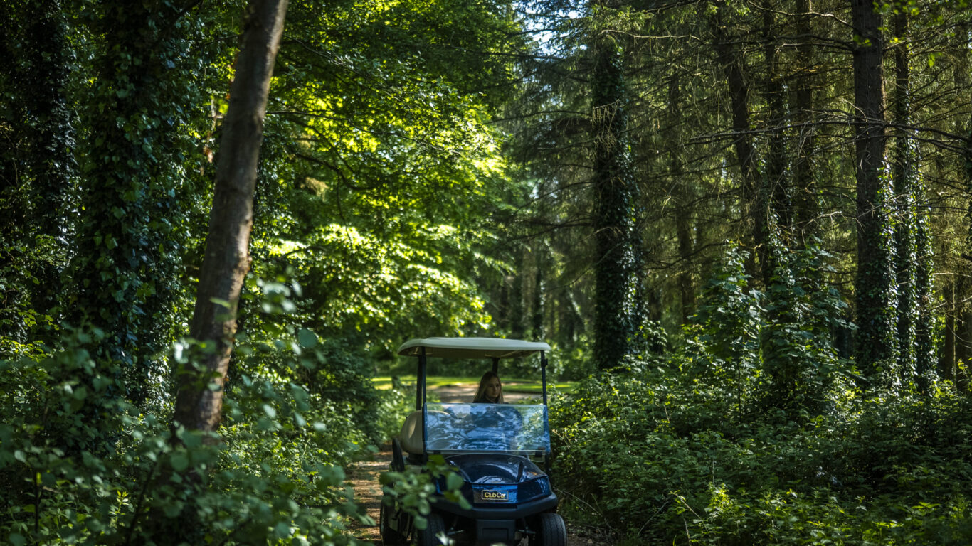 Golf Buggy