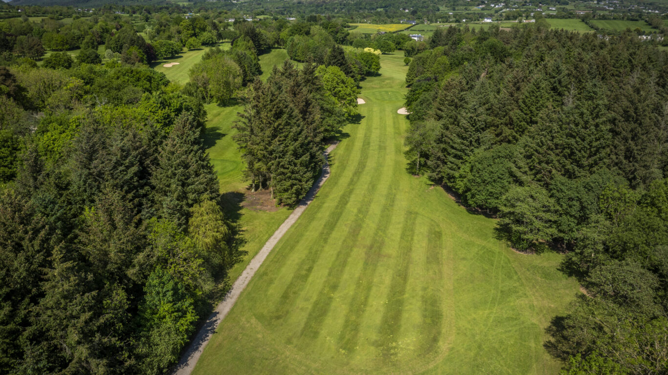 Book a Tee Time | Ballymascanlon Hotel & Golf Courses